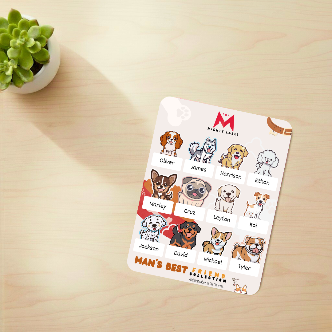 Personalised Dog Name Labels - Waterproof Vinyl for School Supplies | The Mighty Label